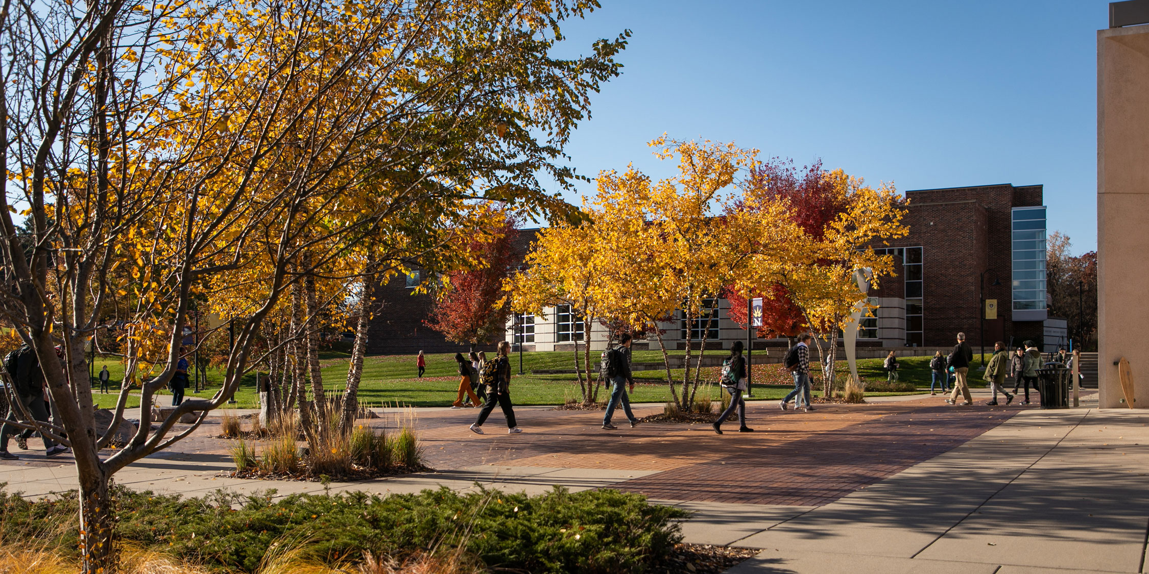 Campus-in-Fall